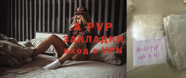 эйфоретик Гусев