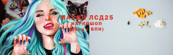 эйфоретик Гусев