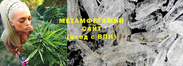 ГАЛЛЮЦИНОГЕННЫЕ ГРИБЫ Гусь-Хрустальный
