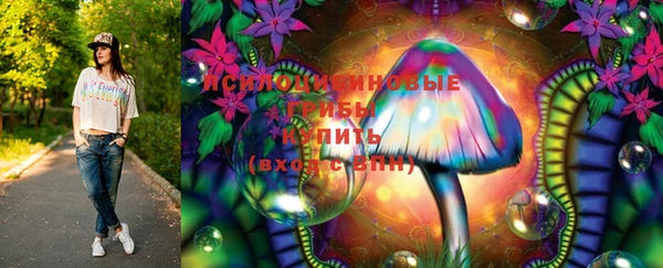 эйфоретик Гусев