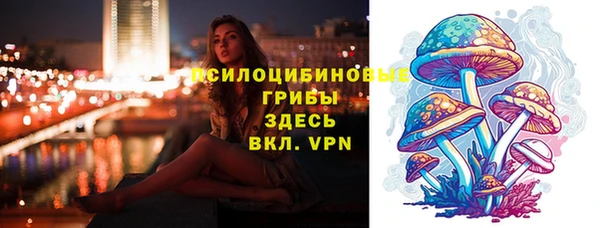 эйфоретик Гусев