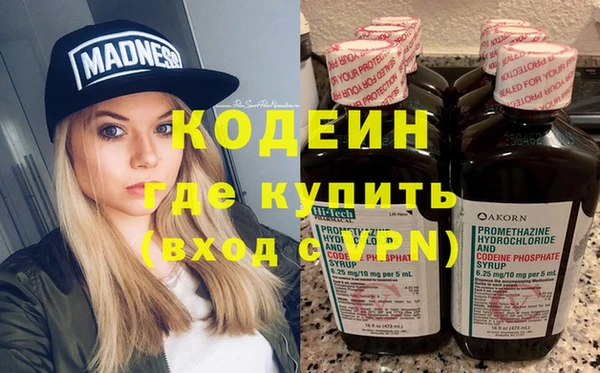 ГАЛЛЮЦИНОГЕННЫЕ ГРИБЫ Гусь-Хрустальный