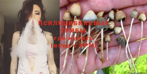 ГАЛЛЮЦИНОГЕННЫЕ ГРИБЫ Гусь-Хрустальный