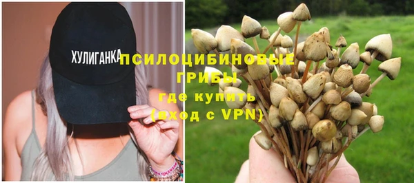 прущие крисы Дмитриев